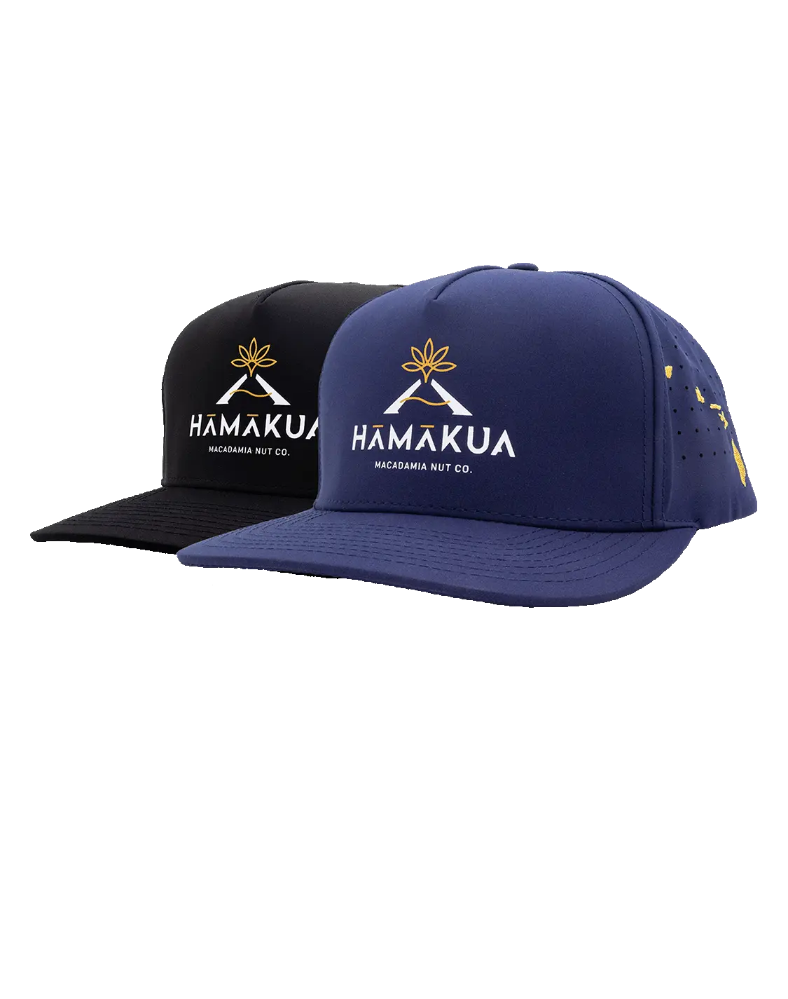 Navy blue and black cap with Hāmākua Macadamia Nut Co. logo on a white background