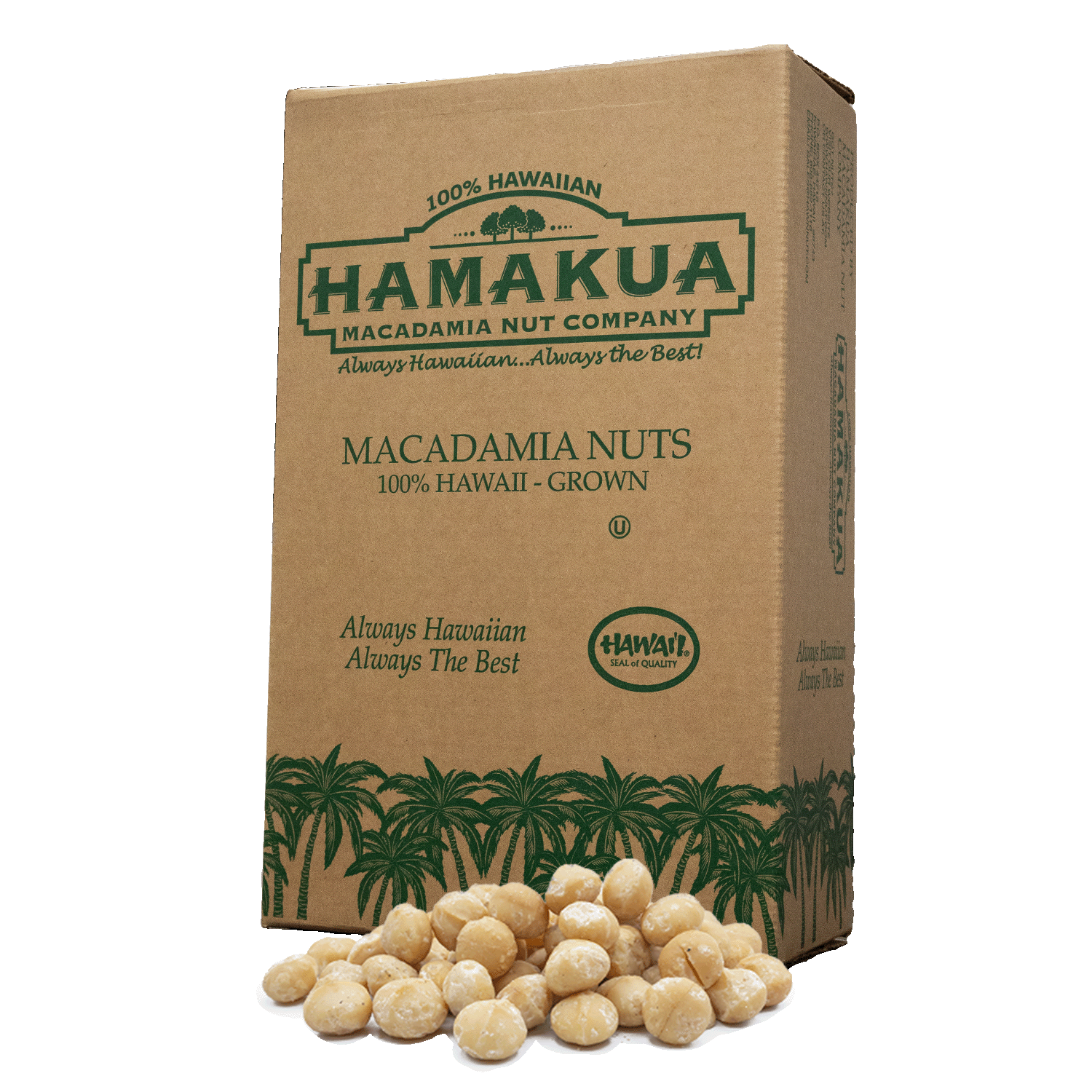 Hāmākua Macadamia Nut Company bulk box with a pile of Style 1 macadamia nuts in front of it