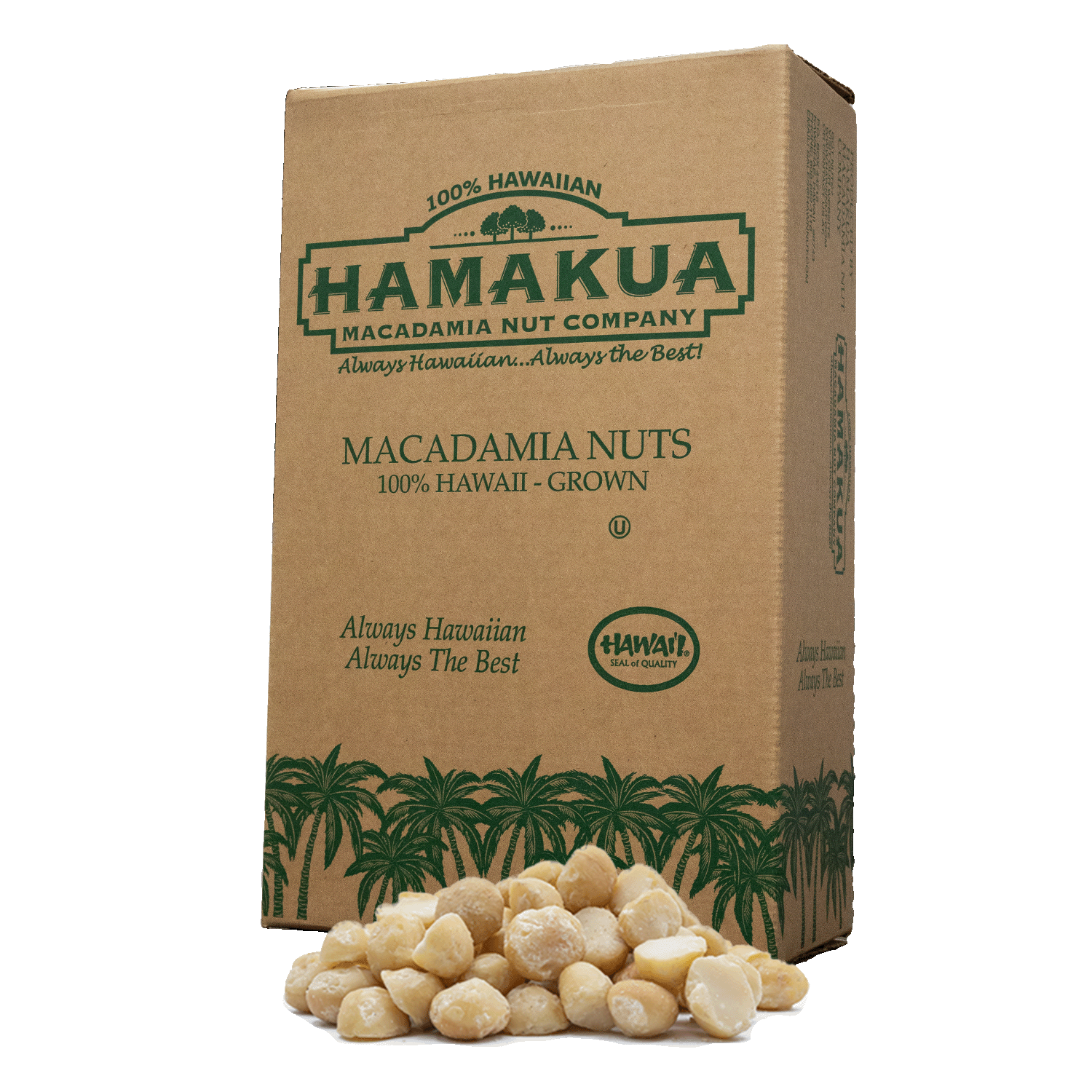 Hāmākua Macadamia Nut Company bulk box with a pile of Style 2 macadamia nuts in front of it