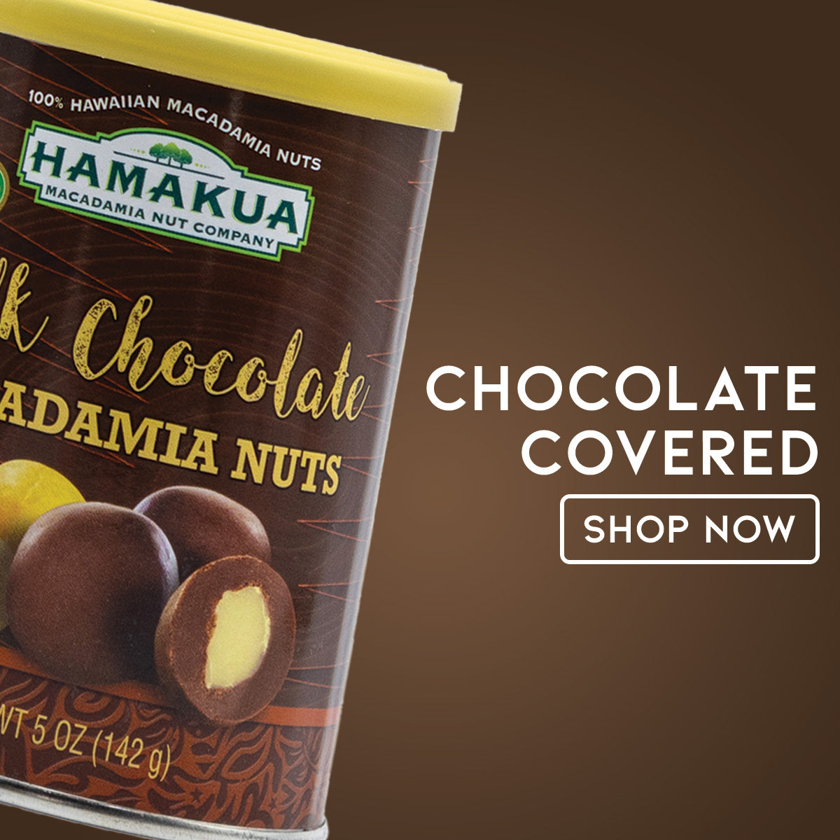 Can of Hāmākua Macadamia Nut Company Milk Chocolate Macadamia Nuts on a gradient brown background