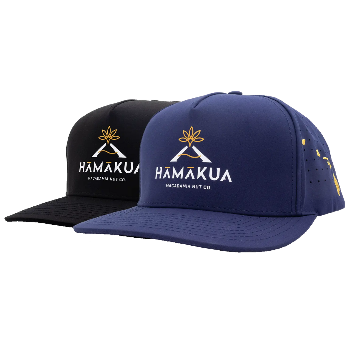 Navy blue and black cap with Hāmākua Macadamia Nut Co. logo on a white background