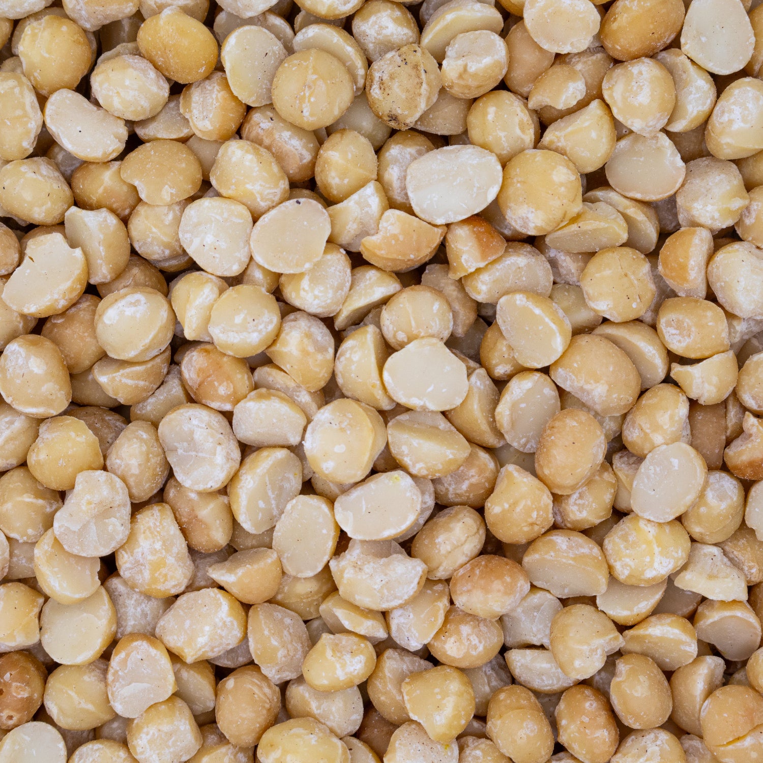 Close-up of macadamia nuts