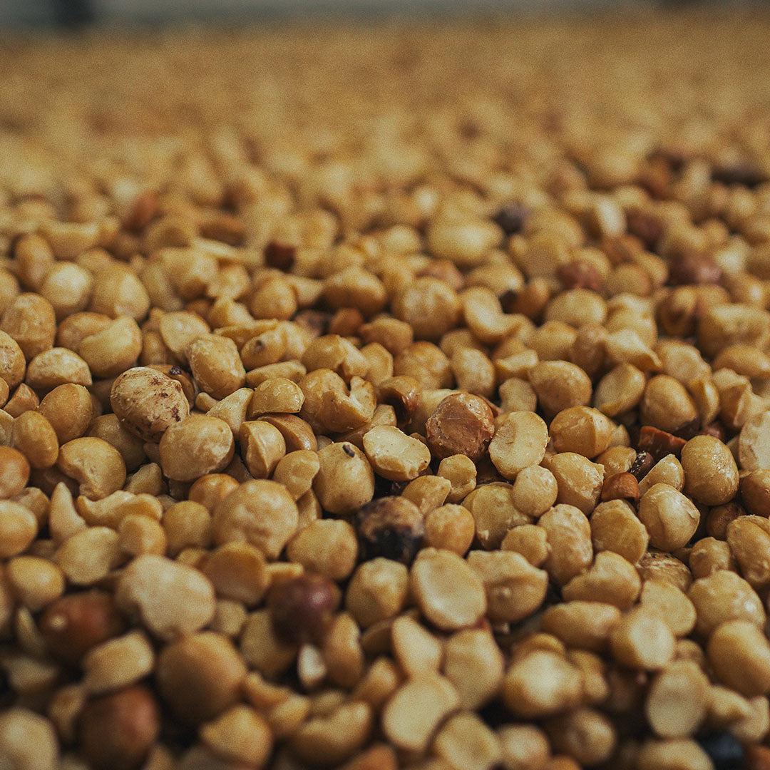 Close-up of macadamia nuts with a blurred background