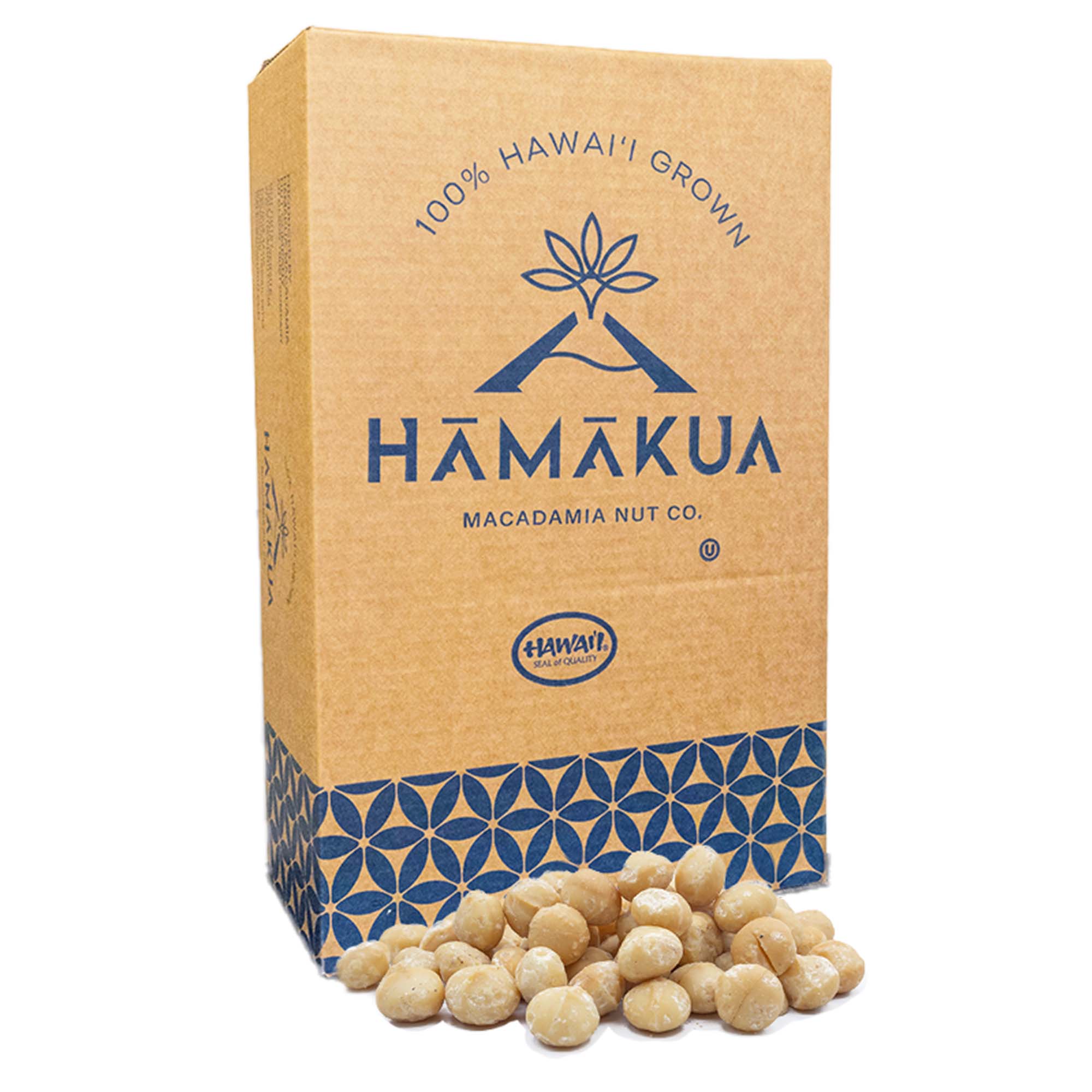 Bulk box of Hāmākua Macadamia Nut Company Style 1 macadamia nuts