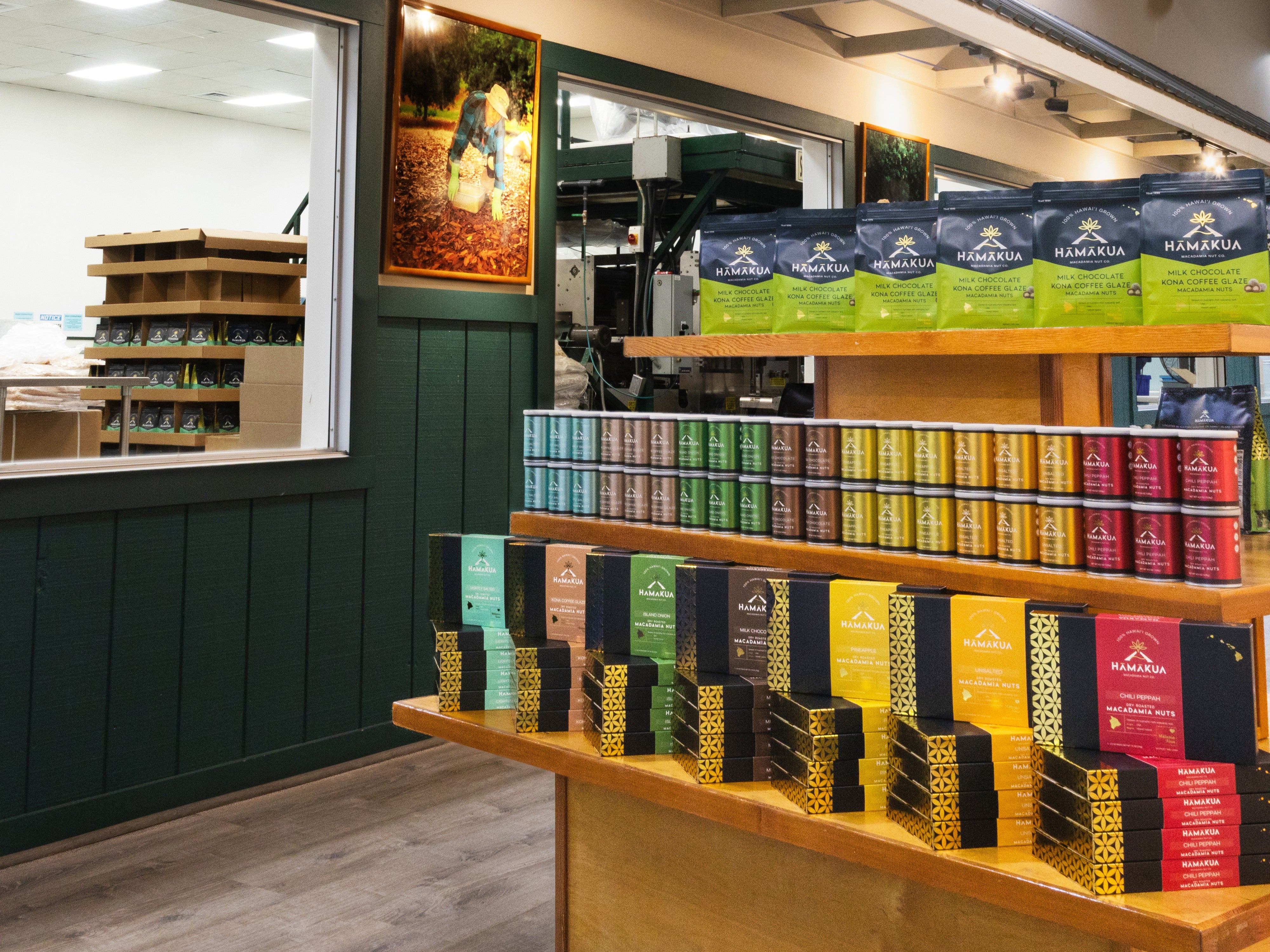 Display of Hamakua Macadamia Nut Company packages on shelves in front of the viewing gallery.