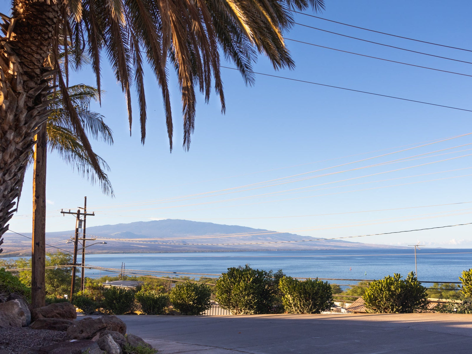 View from the driveway of Hāmākua Macadamia Nut Company