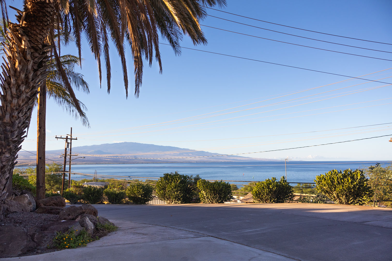View from the driveway of Hāmākua Macadamia Nut Company