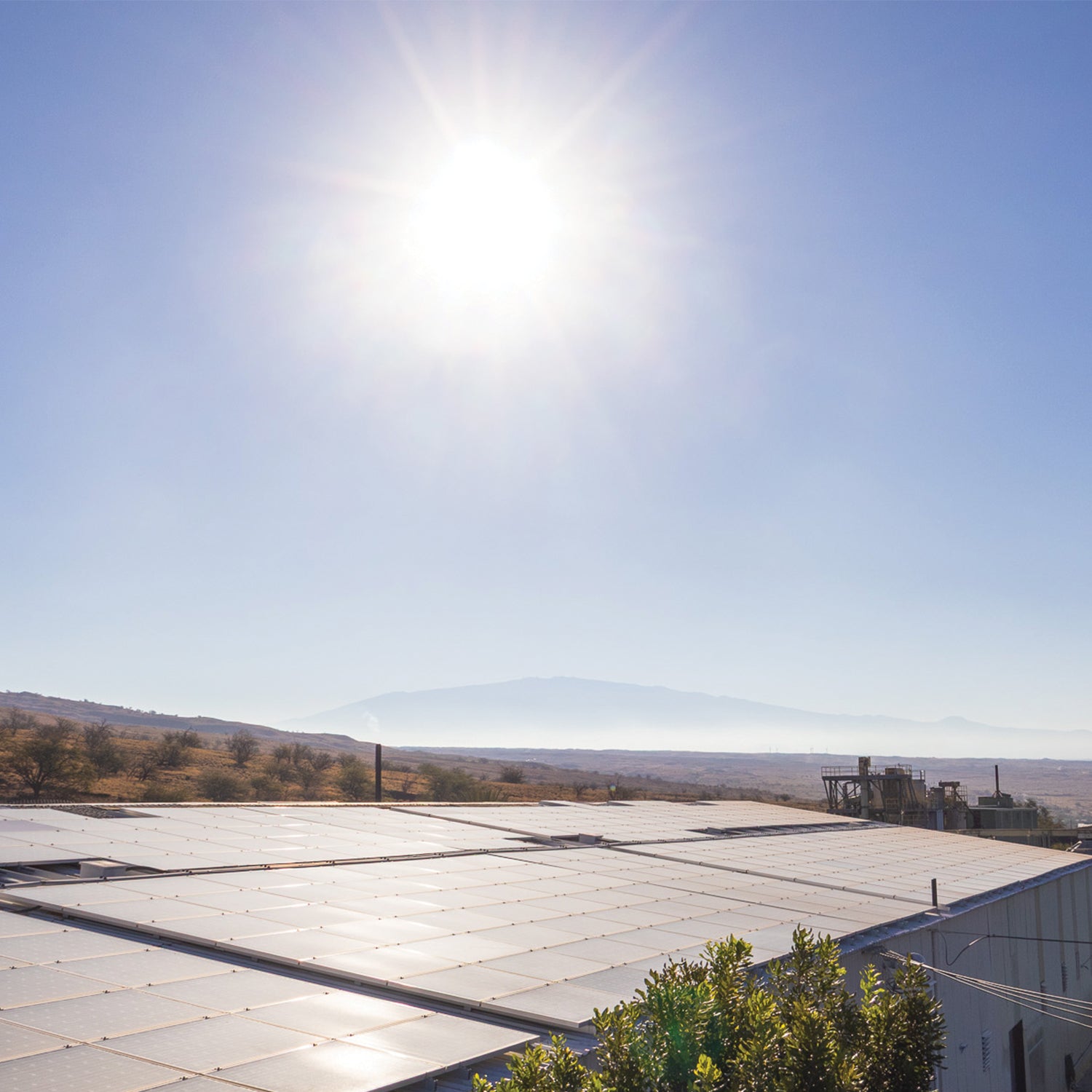 Solar panels on Hāmākua Macadamia Nut Company Visitor Center roof with a clear blue sky and sun.
